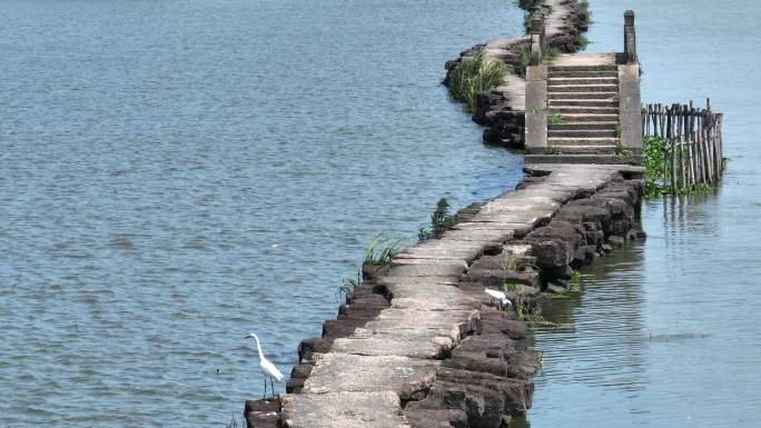 浙江绍兴越城区昂桑湖古纤道石桥白鹭石板路