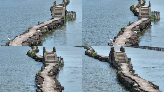 浙江绍兴越城区昂桑湖古纤道石桥白鹭石板路