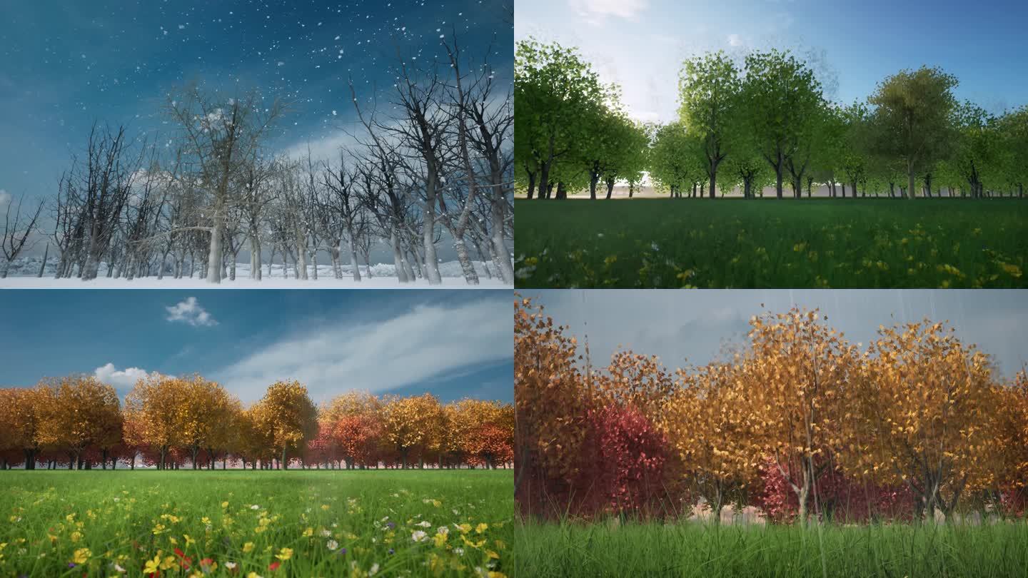 四季树木变化-V3
