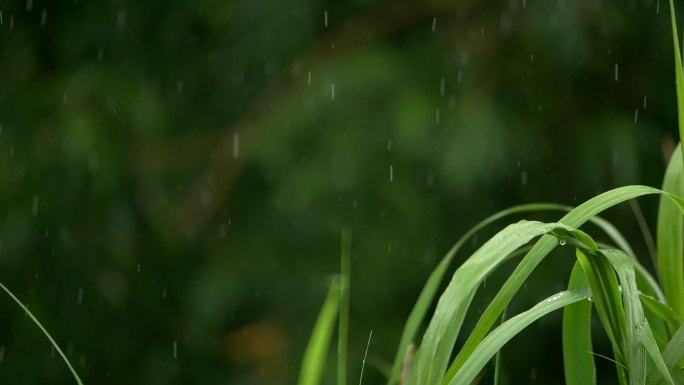 雨滴雨点