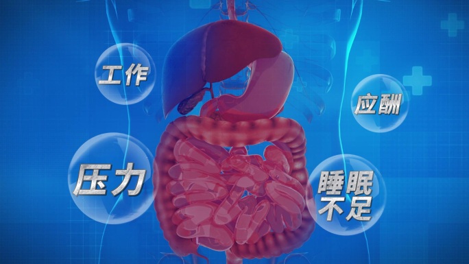 医院医疗消化系统肠胃病胃镜肠道AE模版
