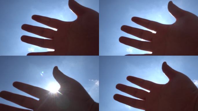 指缝里的阳光 抚摸阳光的手