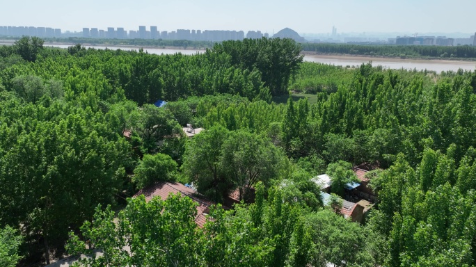 5K原素材-航拍济南市区最后的黄河滩区村