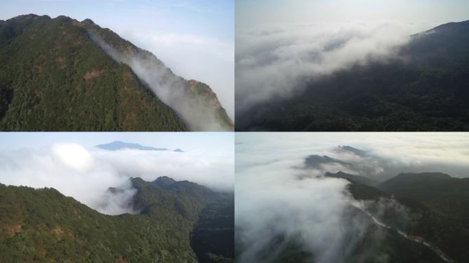 福建 九仙山 云海航拍 4K