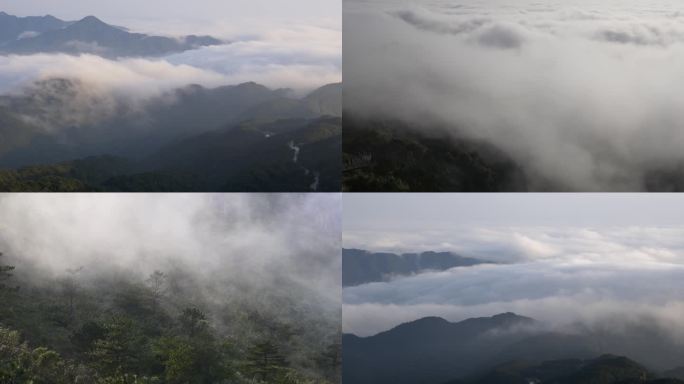 福建 九仙山 云海 延时 4K