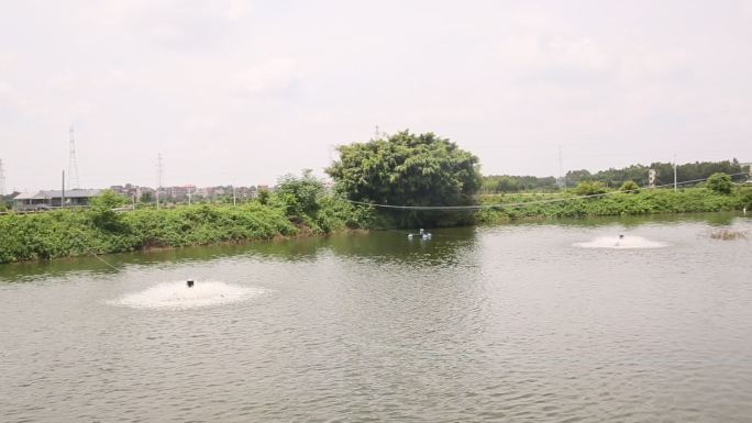 农村池塘浇灌换水空镜