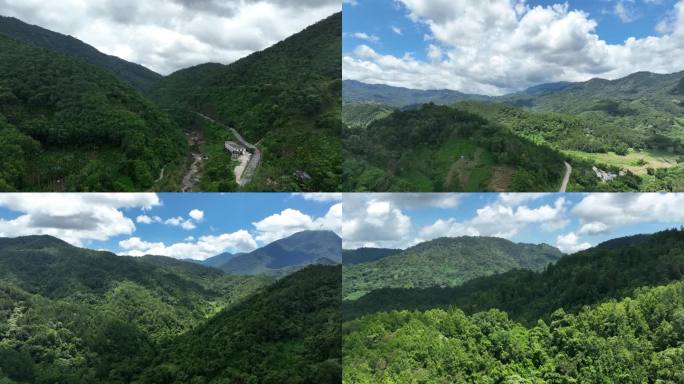 海南省五指山市热带雨林