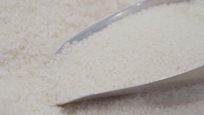 米白米大米稻米五谷水稻