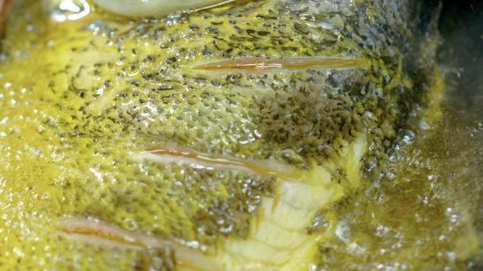 4K鱼头泡饼 大鱼头 鳙鱼 面粉和面饼
