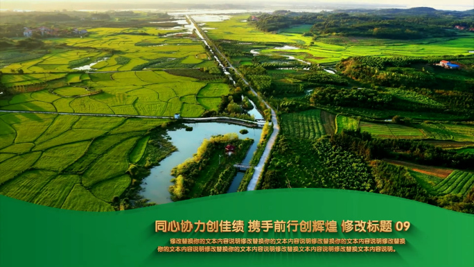 绿色图文照片展示AE