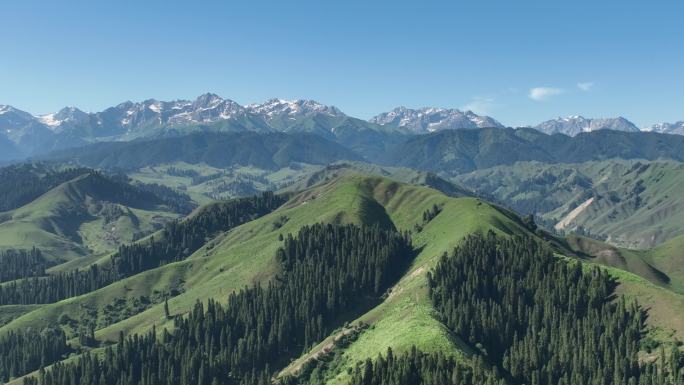 新疆伊犁恰西草原蓝天白云航拍