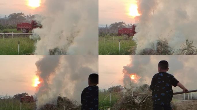 田间烟雾早晨晨曦农村景象田间烧火烧杂草