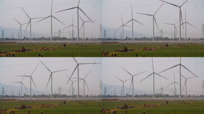 风力发电机在大风中旋转农民在风中田地忙碌