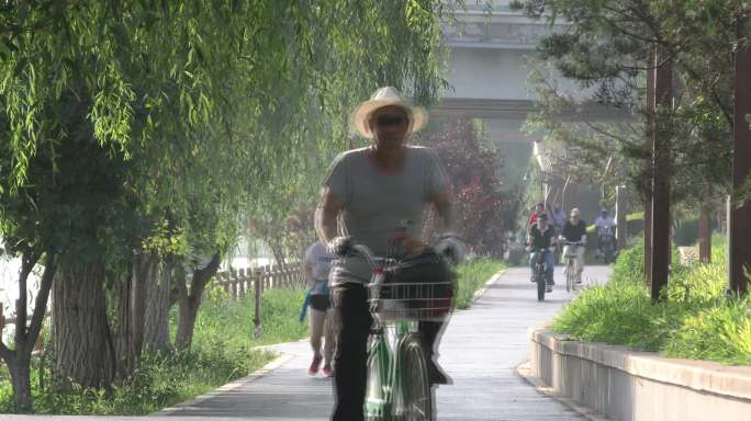 生态城市骑车公园老人晨练运动晨跑公园遛弯
