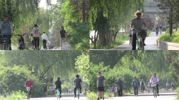 生态城市骑车公园老人晨练运动晨跑公园遛弯