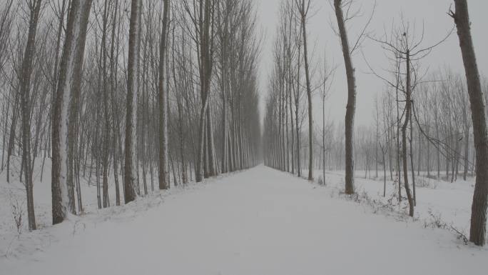 农村野外冬天雪景下雪丨Slog3