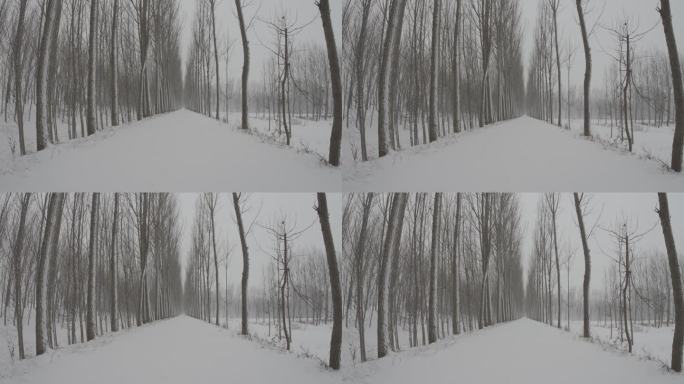 农村野外冬天雪景下雪丨Slog3