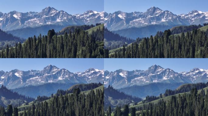 新疆伊犁恰西草原航拍