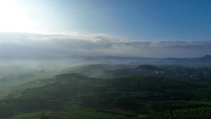 晨曦大自然的馈赠美景