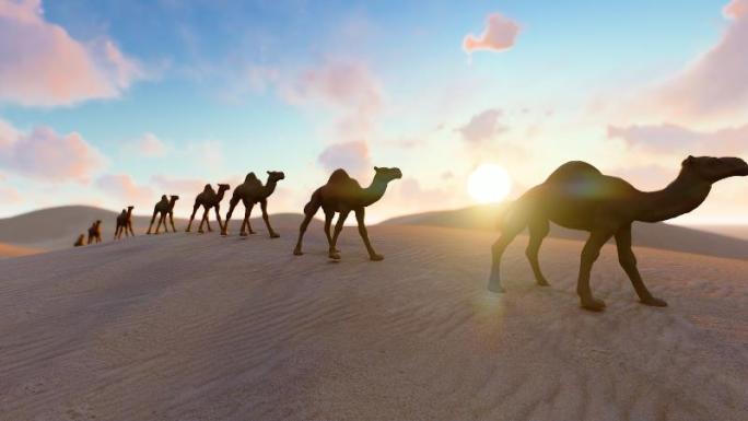西域丝绸之路上行走的沙漠骆驼