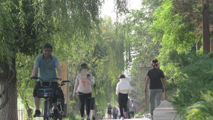骑行健身休闲锻炼身体柳树摇曳北京幸福生活