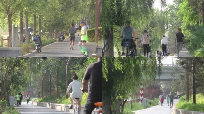 骑行健身休闲锻炼身体柳树摇曳北京幸福生活