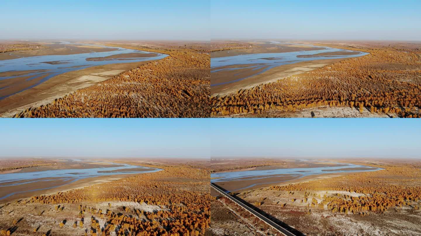 新疆湖湿地胡杨林日落