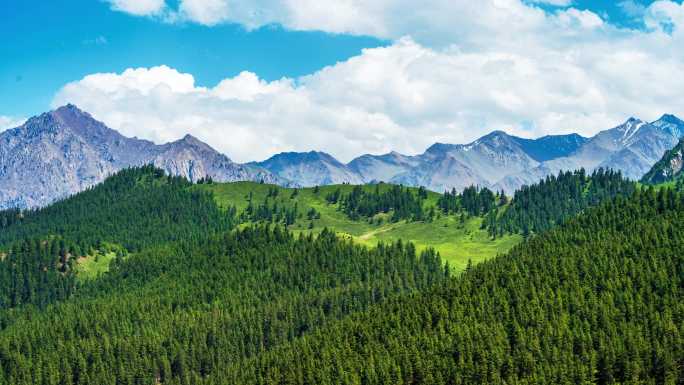 4k河西走廊祁连山草原延时