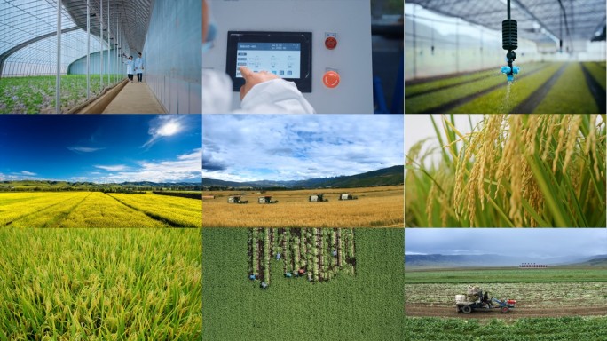 乡村振兴 现代农业