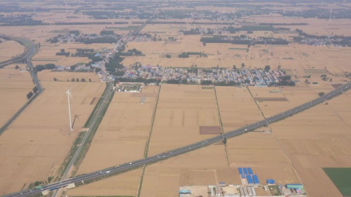 航拍夏收麦田