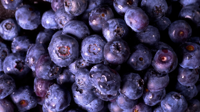【微距】蓝莓 水果 食品 食物 莓果