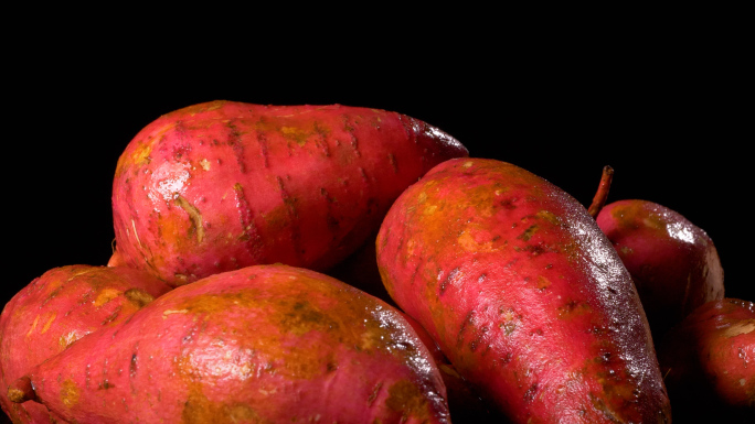 【微距】红薯 番薯 地瓜 甘薯 山芋
