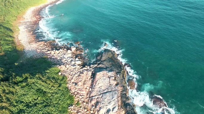 海口大桥海边海浪海岸椰子树树林