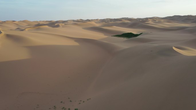 地理 自然 气候 环境 沙漠 荒漠