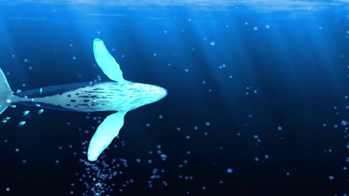 海底世界全息蓝鲸