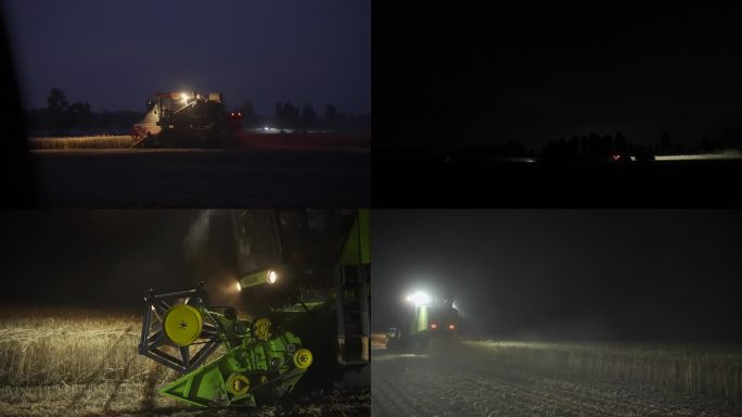 夜间抢收 小麦 收割机