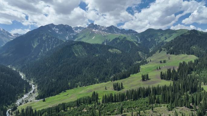 新疆恰西森林公园蓝天白云航拍
