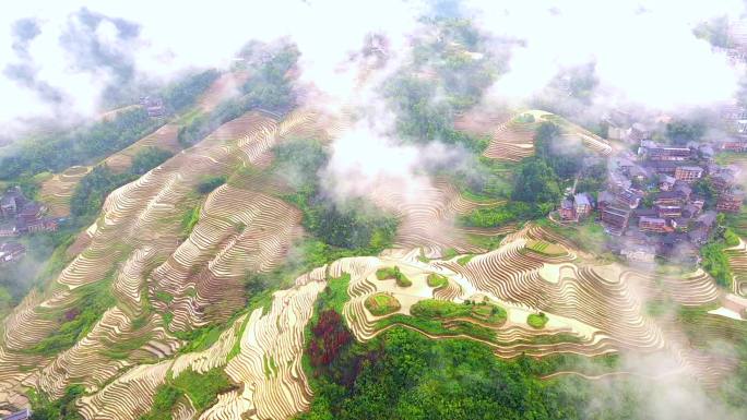 龙脊梯田 素材