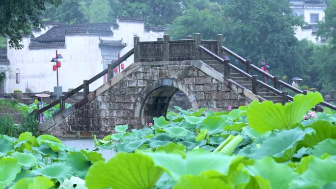 【4K无水印】盛夏烟雨江南