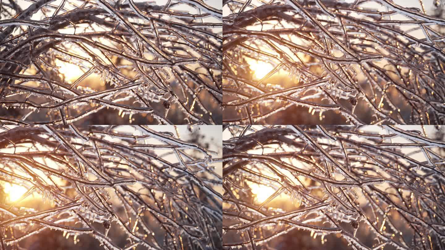 东北哈尔滨冬季自然风光冰挂树挂