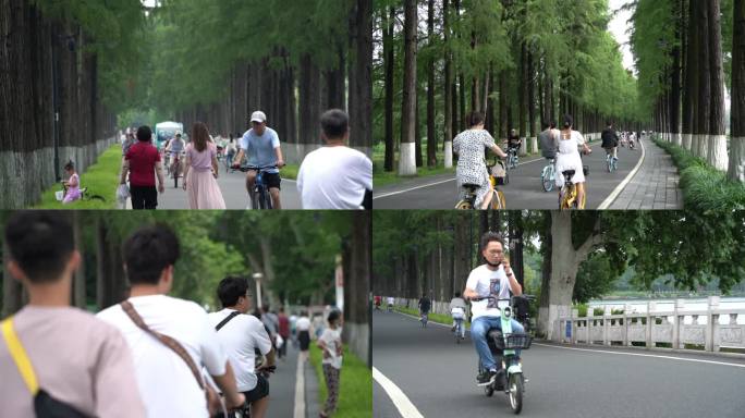 武汉东湖公园绿道骑车的人群