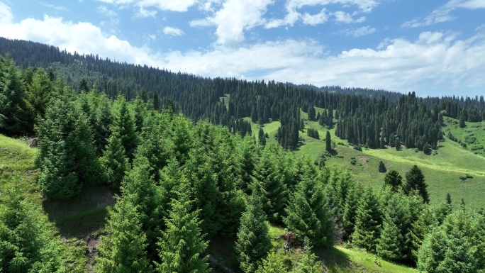 高山森林草原蓝天白云