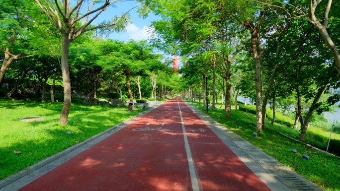 阳光林荫小路 跑道 绿道 骑行道