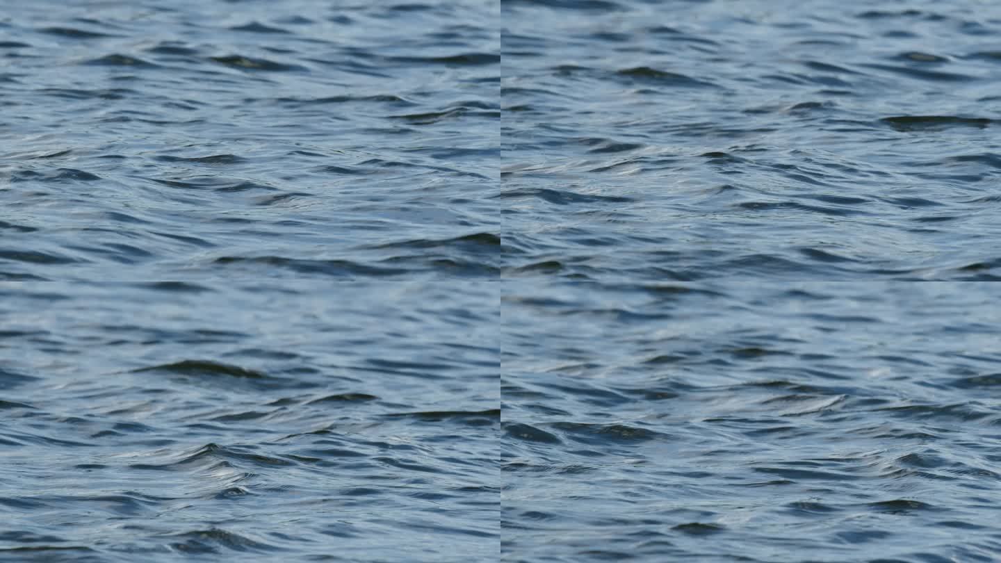 [1080P]不平静的水面升格