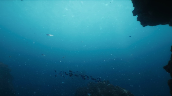 深海鱼群波光礁石海底