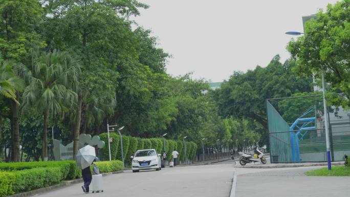 4K升格实拍，夏日广州暑假大学校园一角。