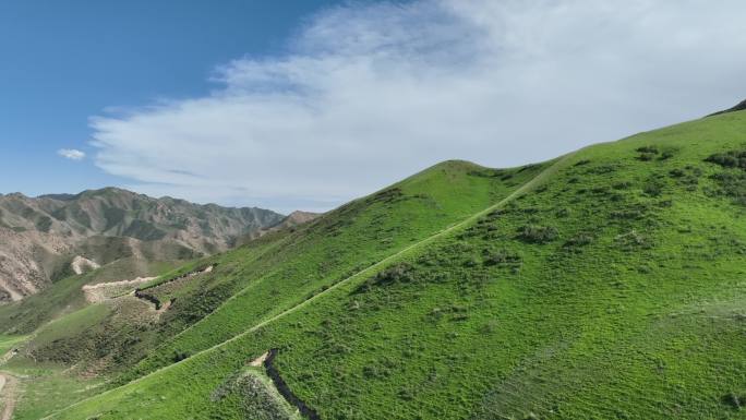 高山草原蓝天白云航拍