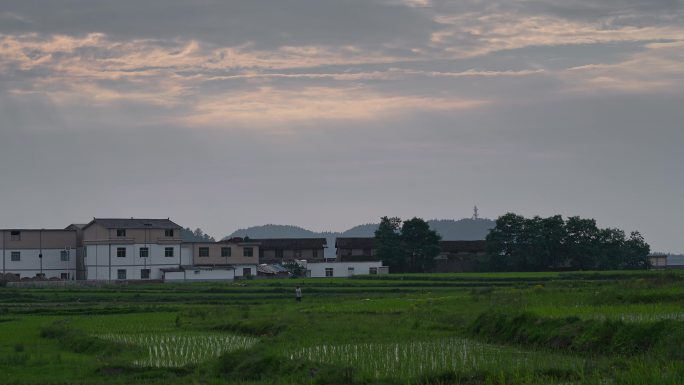 夏天傍晚农村暮归农民