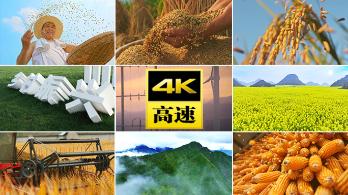 农业丰收水稻农村粮食小麦玉米水果农业乡村