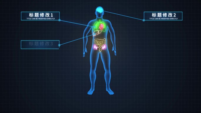 无插件-人体器官注释信息分类AE模板